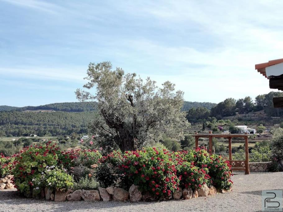 Casa Can Lluc Con Piscina, Jardin Y Vista Al Campo Sant Miquel De Balansat ภายนอก รูปภาพ